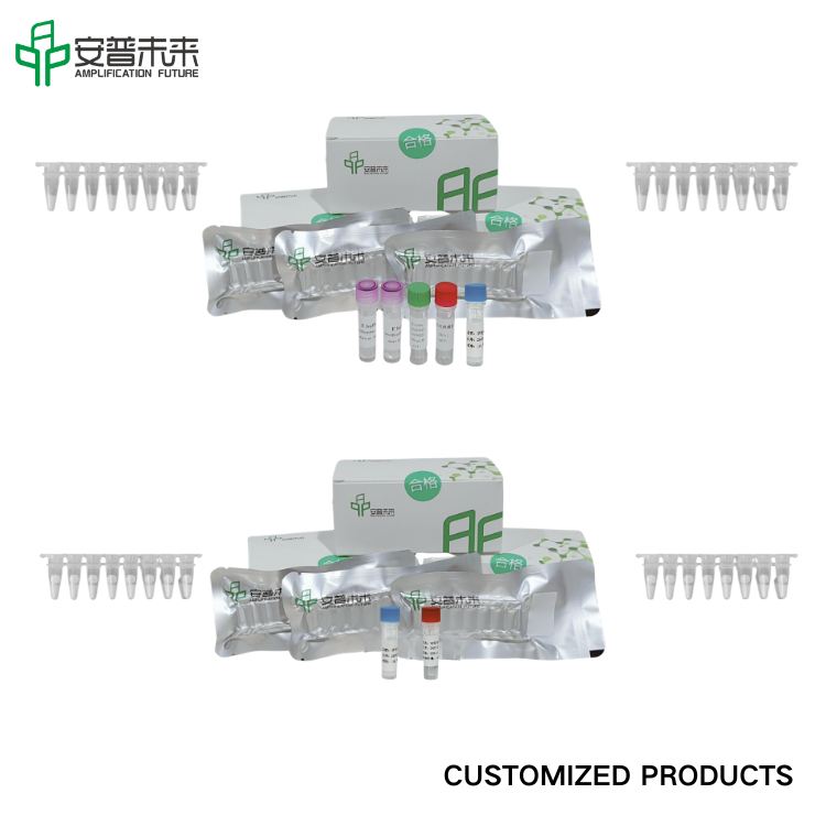 Mira Chlamydia trachomatis ชุดตรวจจับฟลูออเรสเซนต์ใช้งานการใช้งานเท่านั้น