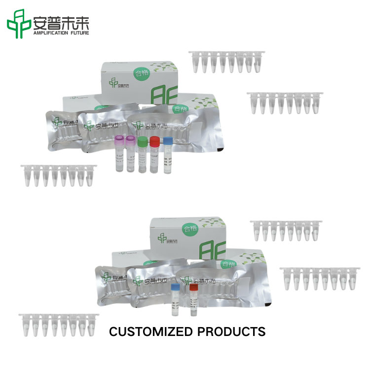 Mira Herpes Simplex Virus Fluorescence Detection Kit Research ใช้เท่านั้น