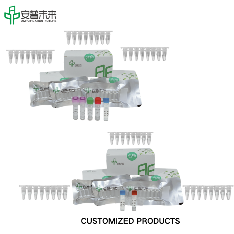 Mira Neisseria Gonorrhoeae Nucleic Acid Test Test Strip Detection Kit Research ใช้งานเฉพาะ