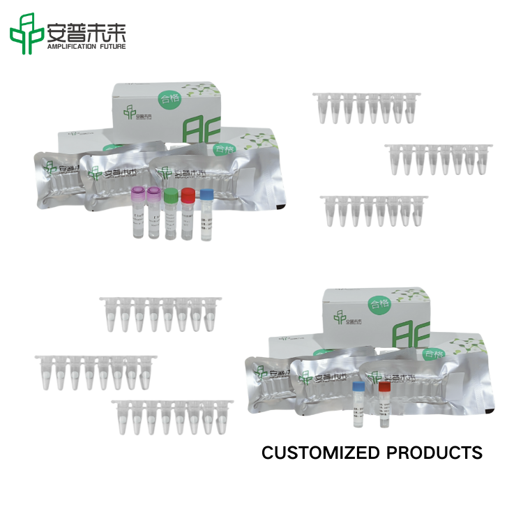 mira sars-cov -2 ยีน orf1ab/อ้างอิง rNase p ชุดตรวจจับฟลูออเรสเซนต์ใช้เท่านั้นการวิจัยใช้เท่านั้น