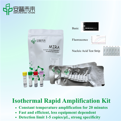 MiRa DNA isothermal AMPLIFICATION KIT BASIC